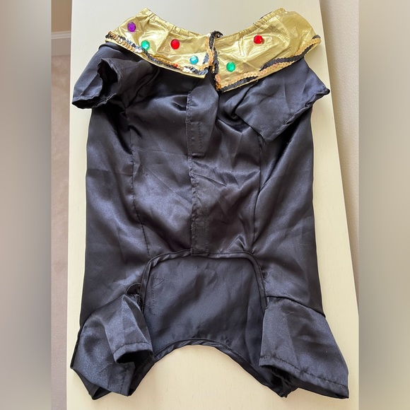 Halloween Costume. Witch with matching Hat. - Picture 4 of 9